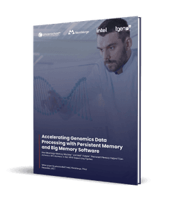 phoenixNAP: Accelerating Genomics Data Processing with Persistent Memory and Big Memory Software